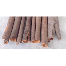 Professional supply agricultural product organic indonesian cinnamon